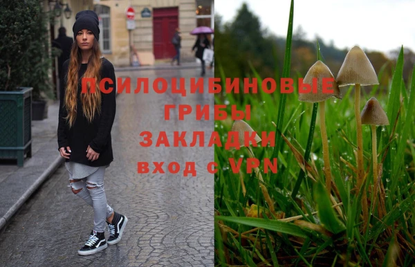 хмурый Абаза