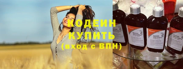 хмурый Абаза