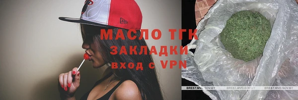 хмурый Абаза