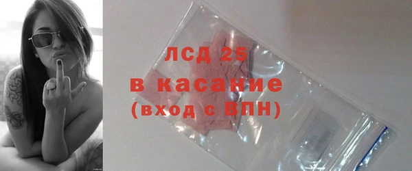 хмурый Абаза